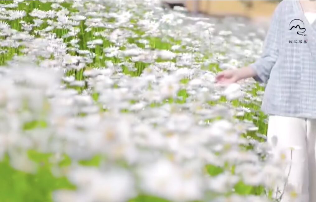 帛巴瑞·古风手织布服饰系列唯美视频